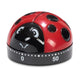 Patisse kookwekker lieveheersbeestje 6 cm zwart rood