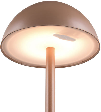 Rl live your light reality ricardo - tafellamp - mokka - incl. 1x smd 1,7 w - 4-stappen touch - usb-aansluiting - verlichting omhoog en omlaag - oplaadbaar - snoerloos - buitenverlichting - ip54