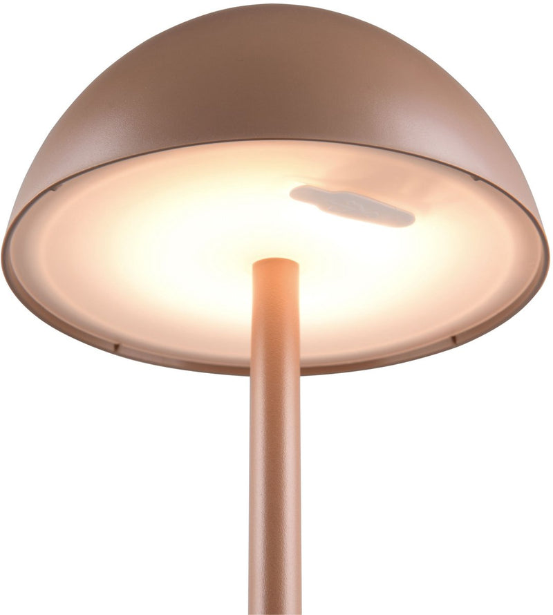 Rl live your light reality ricardo - tafellamp - mokka - incl. 1x smd 1,7 w - 4-stappen touch - usb-aansluiting - verlichting omhoog en omlaag - oplaadbaar - snoerloos - buitenverlichting - ip54