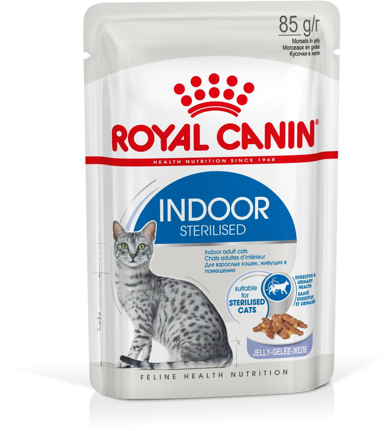 Royal canin indoor in jelly - 12x85 g - kattenvoer