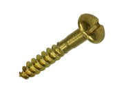 Mack 1019658 - houtschroef bolkop messing 10 st 2,5 x 16 mm | 10 stuks - afbeelding 1