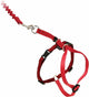 Petsafe easy walk cat harness met bungee leash - tuigje voor het uitlaten van je kat - rood of blauw - s m l - kleur: rood, maat: medium 27-36 cm