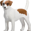 Mojo farmland jack russell terriër - 387286
