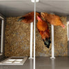 Producten kippenhok eco stal kunststof barney