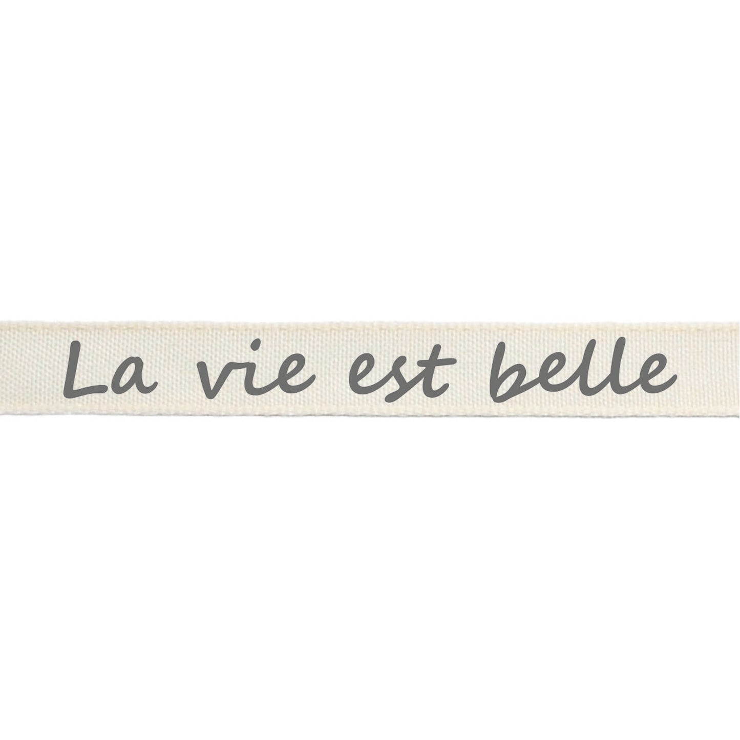 Vaessen creative • ribbon 2mx15mm fr la vie est belle