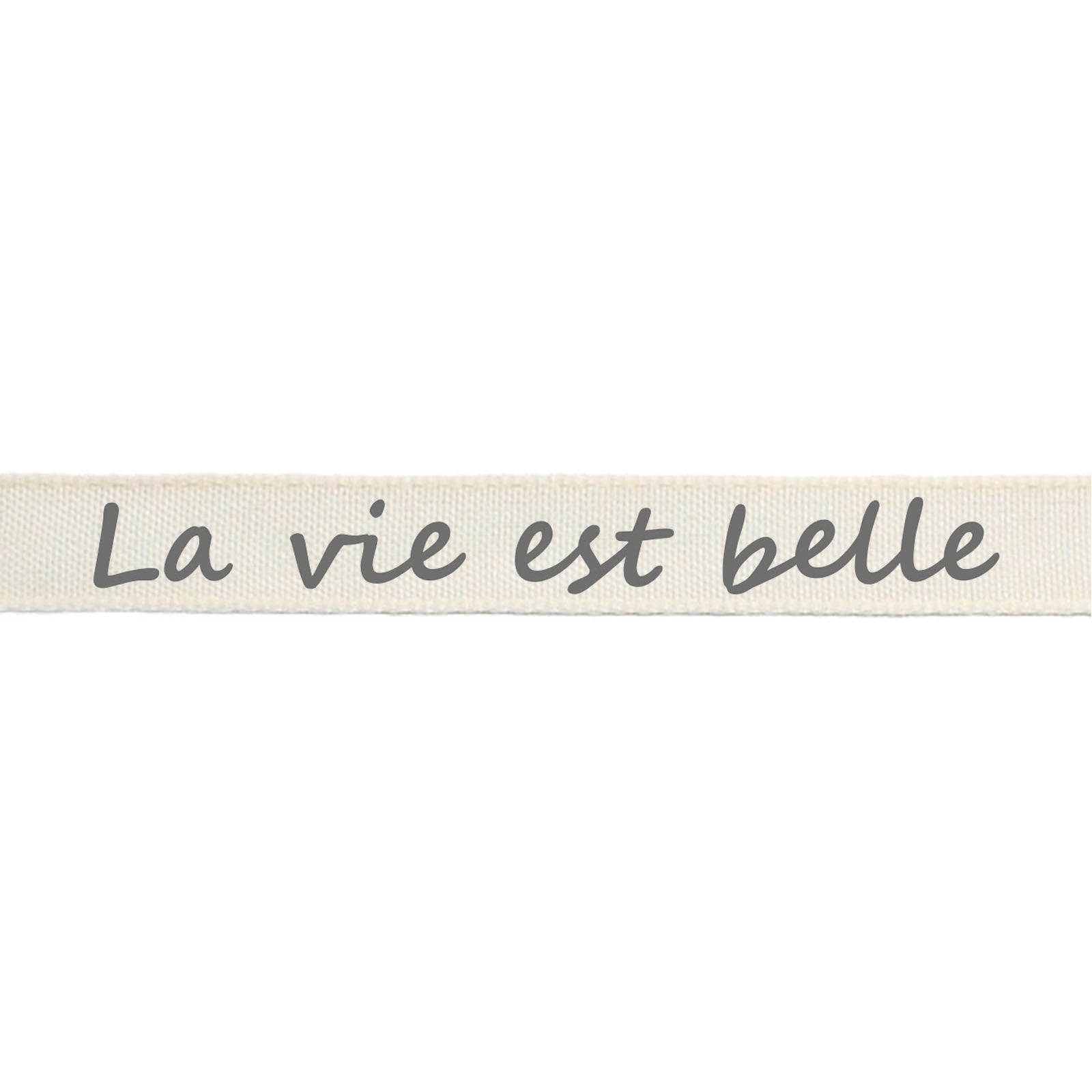 Vaessen creative • ribbon 20mx15mm fr la vie est belle