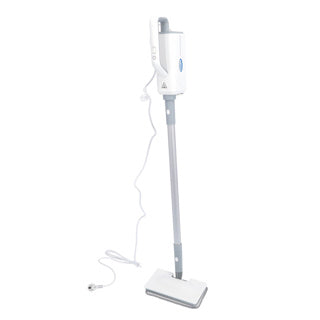 Steam cleaner professional