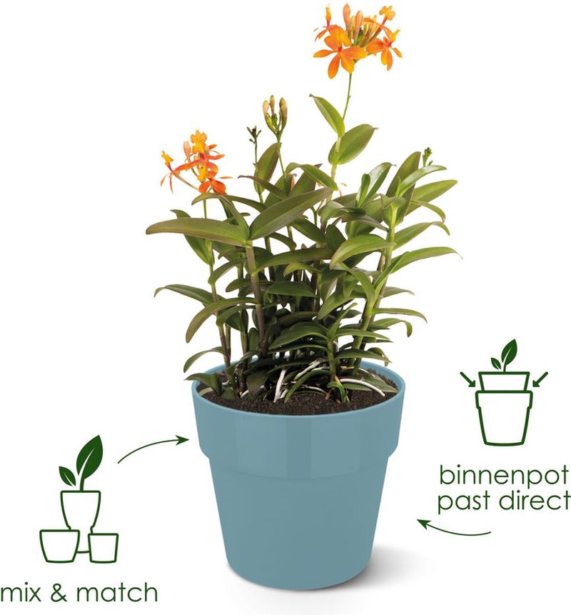 Elho b.for original rond 25 - bloempot voor binnen - 100% gerecycled plastic - ø 24.7 x h 23.2 cm - living black