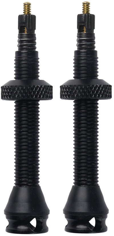 Schwalbe tubeless ventiel sv 40 mm (2 stuks)