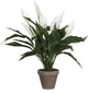 Mica decorations kunstplant - spathiphyllum lepelplant - wit - h50 x d40 cm