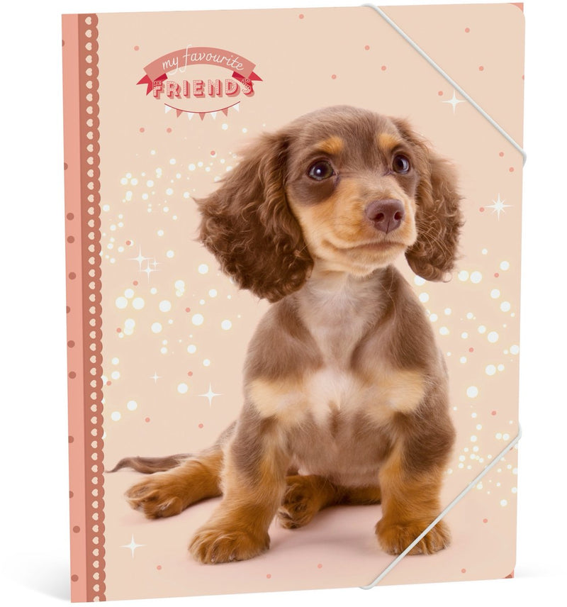 My favourite friends elastomap a4 - hond