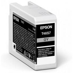 Epson origineel inktcartridge ultrachrome pro 10 c13t46s700 grijs