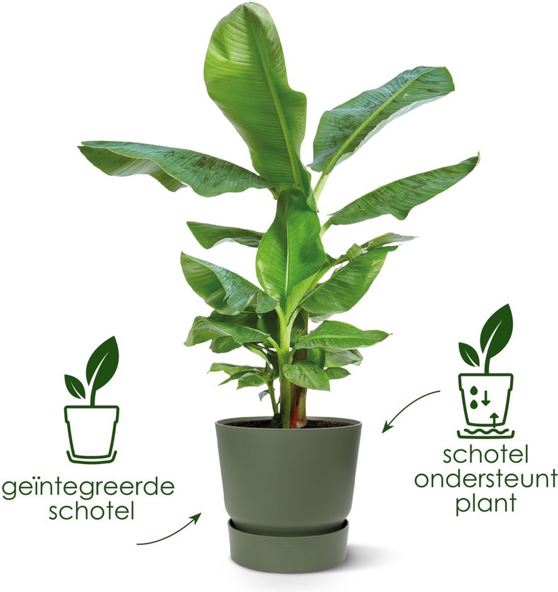 Elho greenville rond 20 - bloempot voor buiten met waterreservoir - 100% gerecycled plastic - ø 19.5 x h 18.4 cm - wit