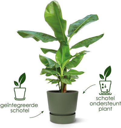Elho greenville rond 20 - bloempot voor buiten met waterreservoir - 100% gerecycled plastic - ø 19.5 x h 18.4 cm - wit