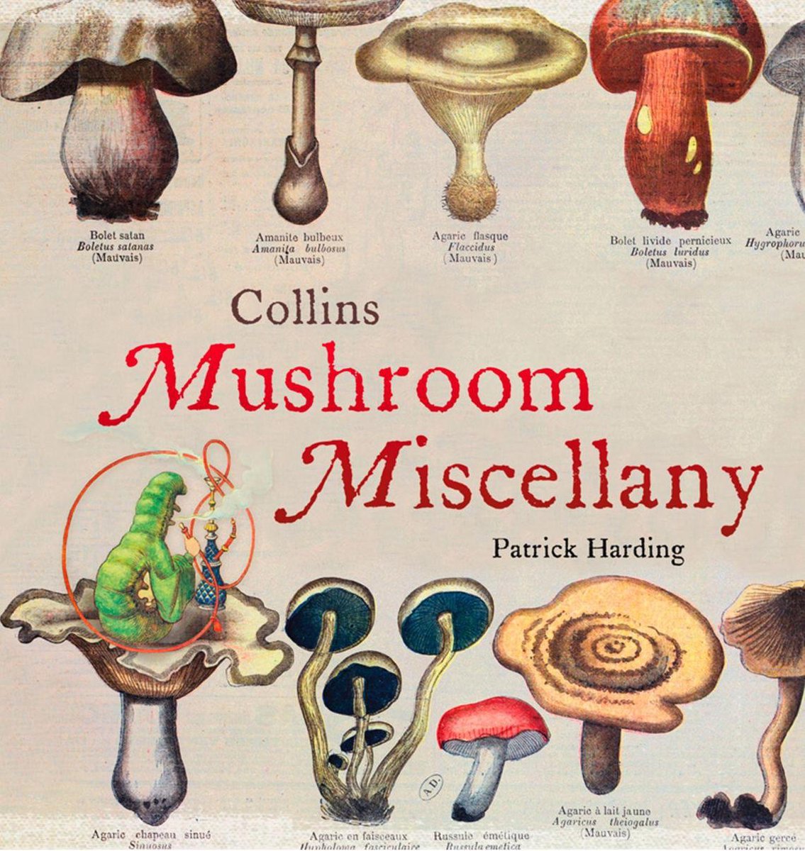 Collins mushroom miscellany