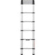 Telescoopladder telesteps 20130-501 zilver