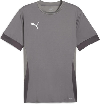 Puma teamgoal matchday jersey heren sportshirt - cast iron- white-shadow gray