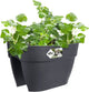 Elho vibia campana flower bridge 40 - plantenbak voor balkon railing - 100% gerecycled plastic - ø 39.0 x h 22.0 cm - antraciet