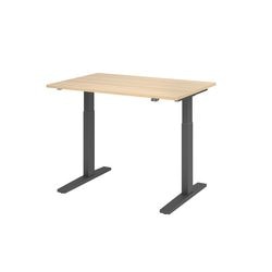 Bach zit-sta-bureau hammerer vxmka12 e g multikleur 1200 x 800 mm