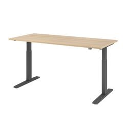 Bach zit-sta-bureau hammerer vxmka19 e g multikleur 1800 x 800 mm