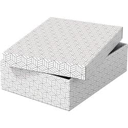Opbergdoos esselte 628284 medium plat 9 l wit