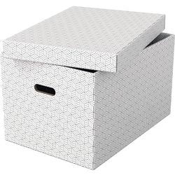 Opbergdoos esselte 628286 large 55 l wit