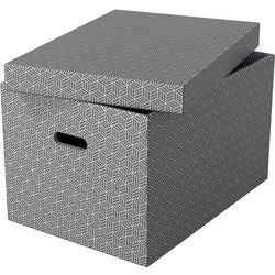 Opbergdoos esselte 628287 large 55 l grijs