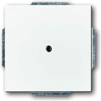 Busch-jaeger abb future solo bedieningselement centrale plaat schakelmateriaal - 2cka001710a3161 - e2eyd