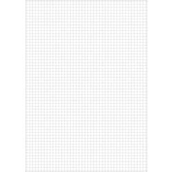 Notitieblok staufen style 608742020 70 g m² papier