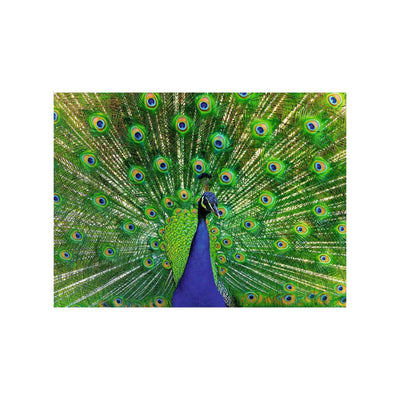 Ravensburger puzzel peacock 500 stukjes