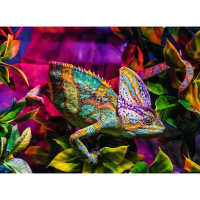 Ravensburger puzzel chameleon 500st