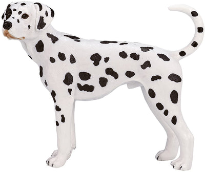 Mojo farmland dalmatiër - 387248