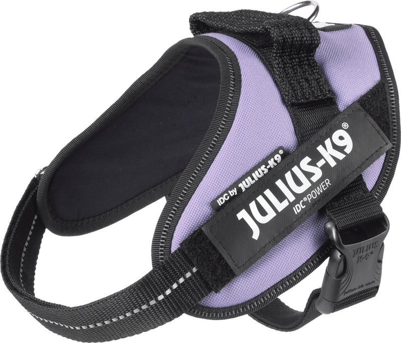 Julius k9 julius-k9 idc®powertuig, s - mini, paars