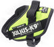 Julius k9 julius-k9 idc powertuig - hondentuig - xs - mini-mini - neon
