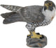 Collecta wilde dieren (s): slechtvalk 6.5x3x4.5cm