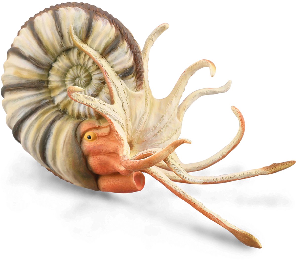 Collecta figurine - pleuroceras ammoniet - (xl) - prehistorie - handgeschilderd - miniatuur