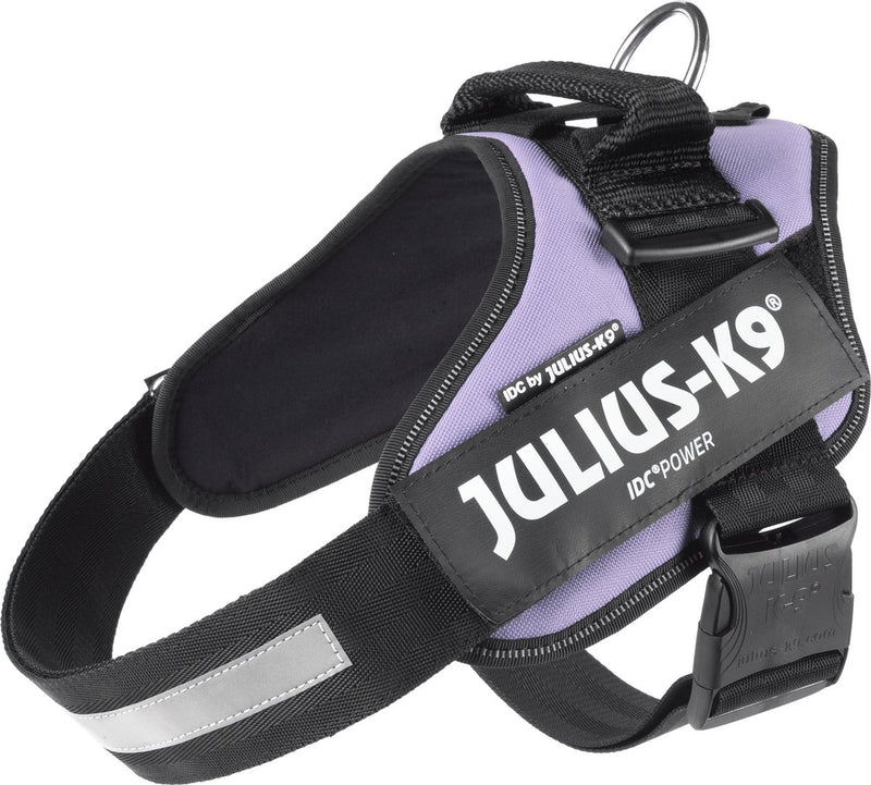 Julius k9 julius-k9 idc®powertuig, l - maat 1, paars l