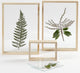 Creativ company cc houten 3d lijst 16x11 cm