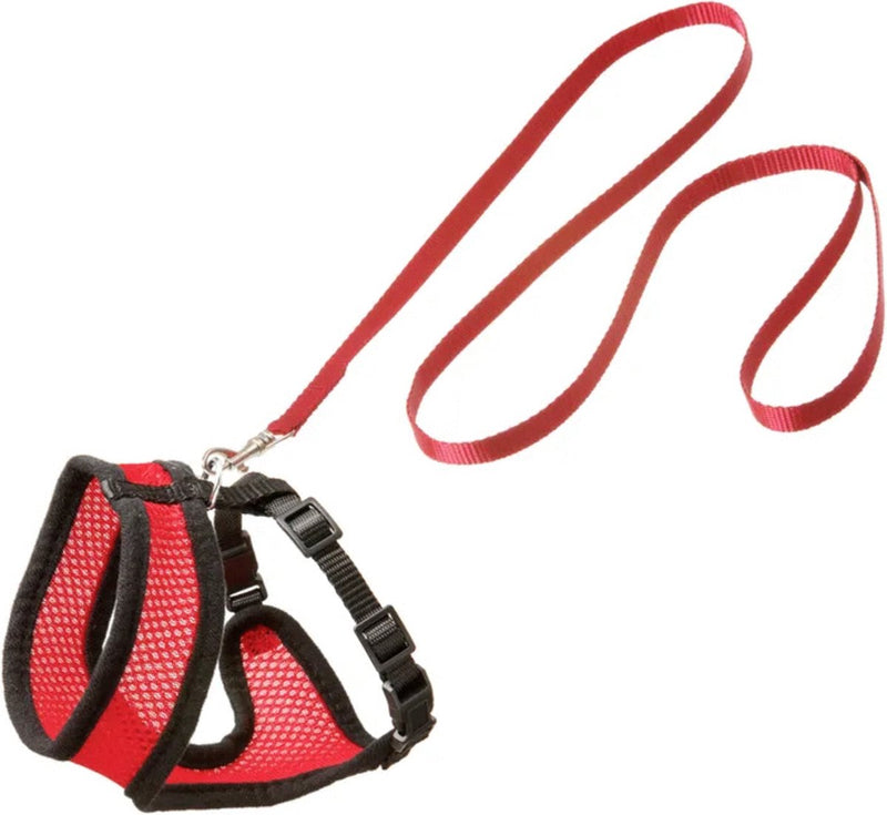 Flamingo kattentuigje harms set - rood zwart - 120cm x 15mm one size