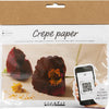 Creativ company mini hobbyset crepepapier klaprozen
