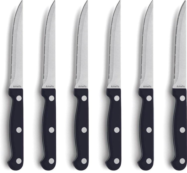 Amefa steakmessenset - 6-delig - 6 persoons - vaatwasserbestendig - vleesmes