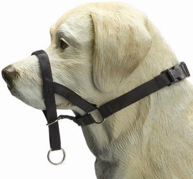 Beeztees dog control - halsband hond - zwart - xl