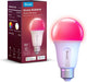 Govee slimme lamp e27 rgbww 6 cm - 800 lumen - 1 pack