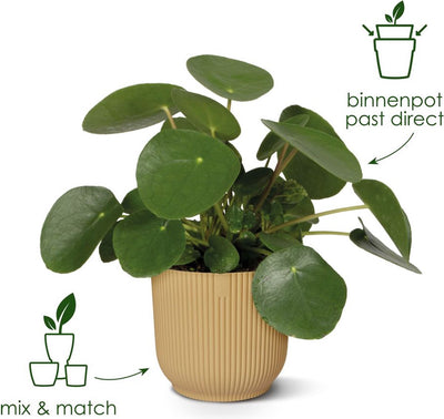 Elho vibes fold rond 18 - bloempot voor binnen - 100% gerecycled plastic - ø 18.4 x h 16.8 cm - delicaat roze