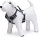 Beeztees hondentuig safety gear parinca premium y-tuig - hondenharnas - led - nylon - zwart - 38-51cmx15mm
