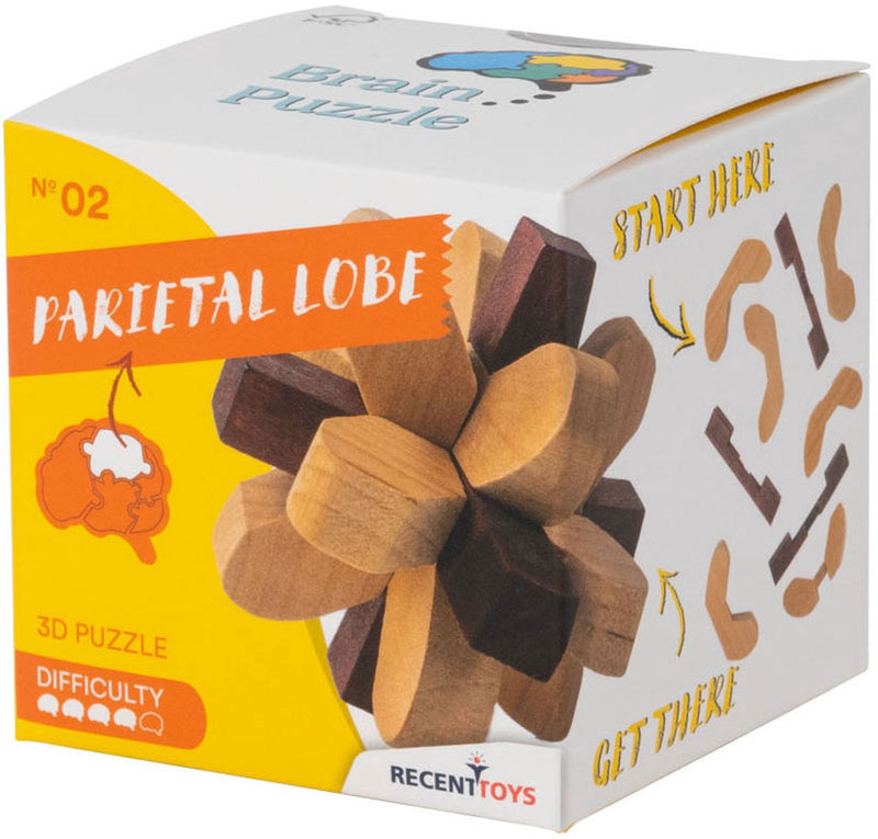 Recent toys houten breinbreker puzzel parietal lobe - brain puzzle 2.