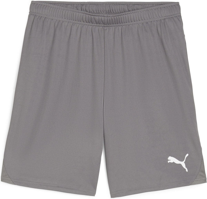Puma teamgoal shorts heren sportbroek - cast iron- white