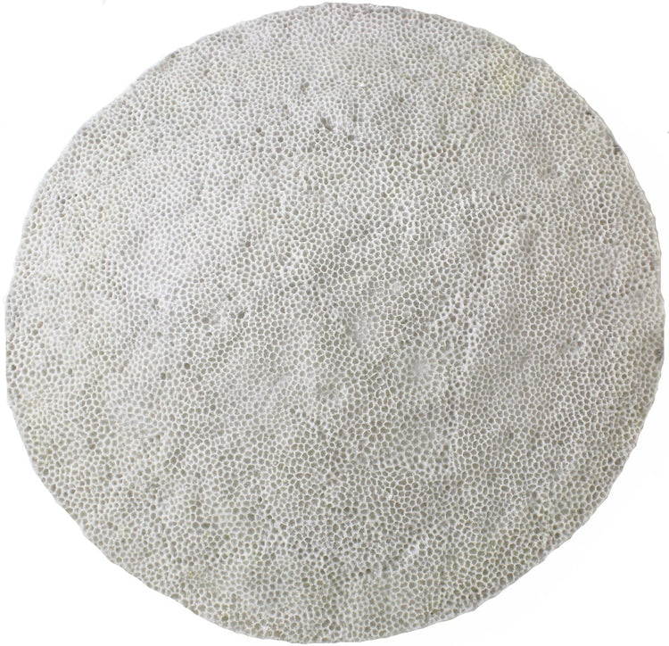 Hd collection wandplaat zandsteen ivoor 69,8x69,8x8,8cm