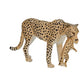 Mojo wildlife cheetah vrouwtje met welp - 387167