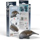 Eugy 3d puzzel - zeekoe - zeedieren - duurzaam - verzamel ze allemaal - 6 jaar